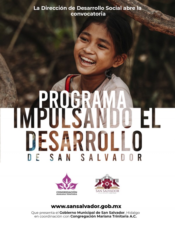 IMPULSANDO EL DESARROLLO
