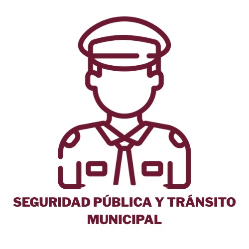 Servicios de Seguridad Pública